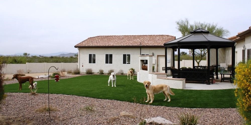 Artificial turf for dogs